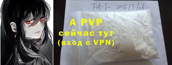 бошки Снежинск