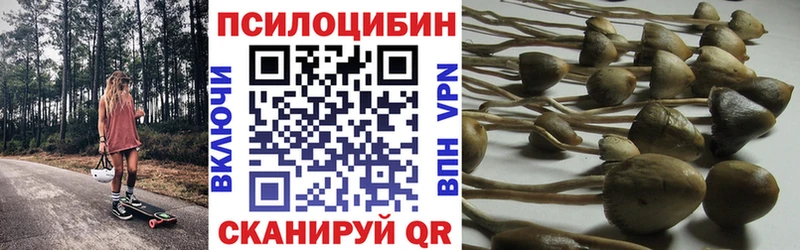 наркотики Славянск-на-Кубани Галлюциногенные грибы GOLDEN TEACHER