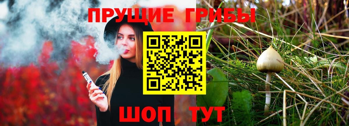 цена   Псилоцибиновые грибы ЛСД  Галлюциногенные грибы MAGIC MUSHROOMS  Вход с VPN  Славянск-на-Кубани 